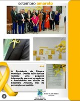🟡 SETEMBRO AMARELO NA CÂMARA MUNICIPAL 🟡